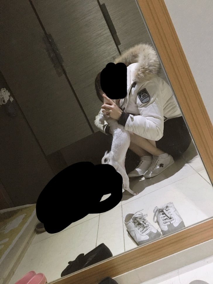 디스커버리 밀포드숏 베이지 디스커버리 밀포드숏 베이지