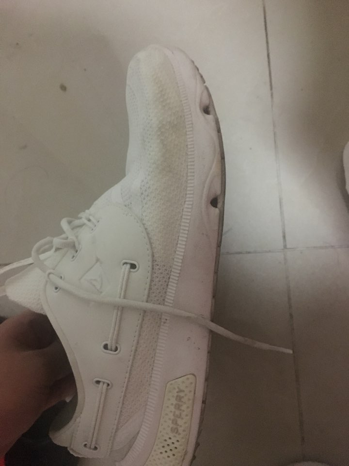 스페리 운동화 스페리 운동화