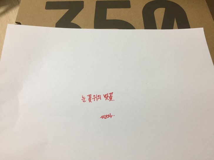 이지부스트 지브라 260