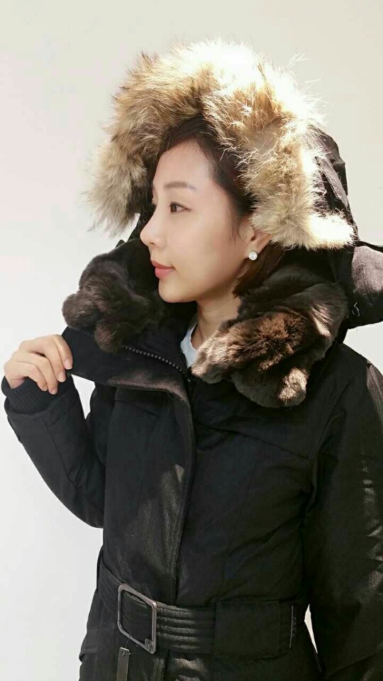 노비스쉬라 노비스쉬라