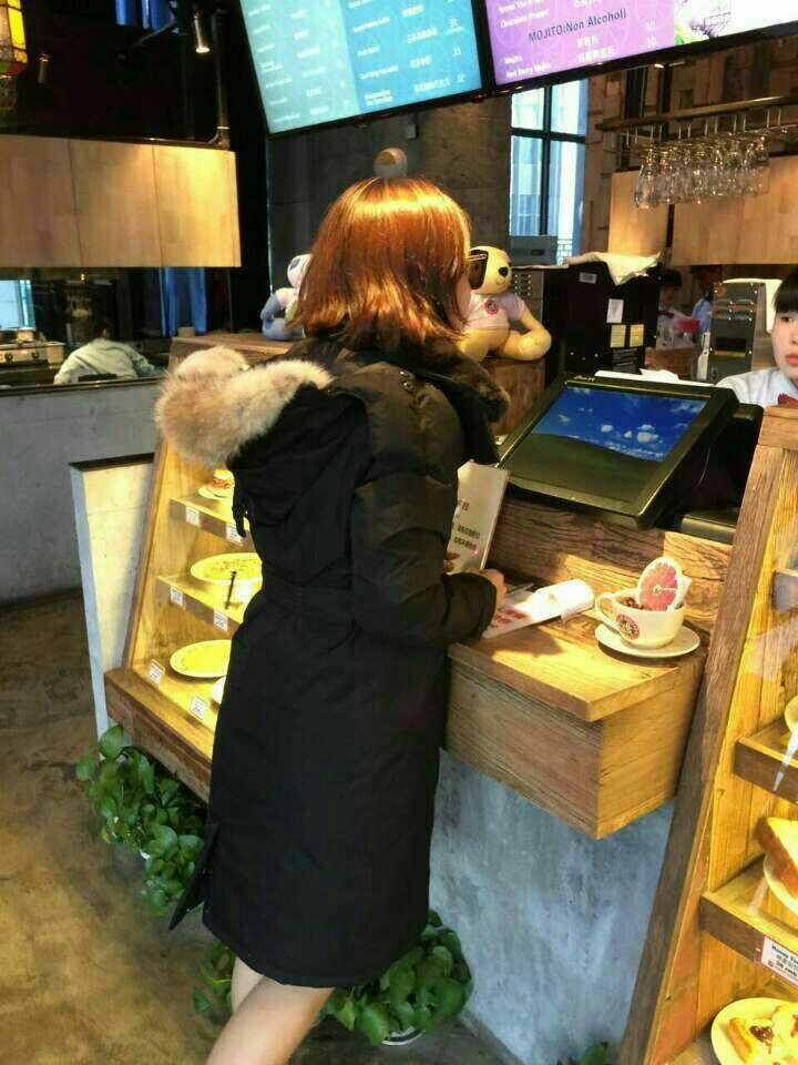 노비스쉬라 노비스쉬라