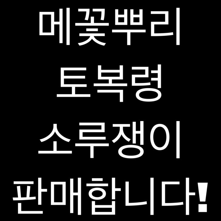 메꽃뿌리 토복령 소루쟁이 메꽃뿌리 토복령 소루쟁이