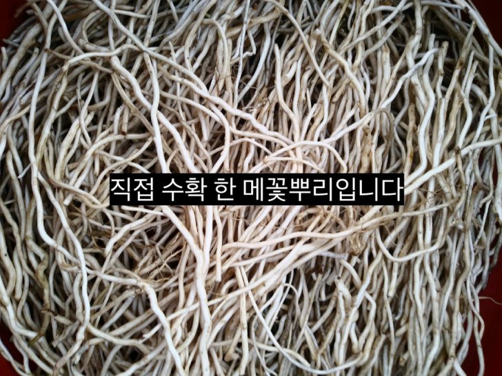 메꽃뿌리 토복령 소루쟁이 메꽃뿌리 토복령 소루쟁이