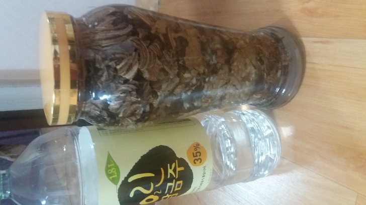 말벌주 말벌주