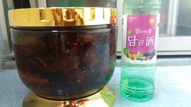 말벌주 말벌주
