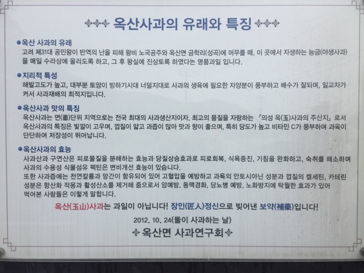 의성眞 햇살 담은 사과 100%