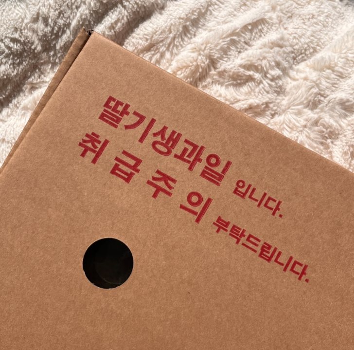 임산부에게 좋은 직접 딴 백화점 납품 딸기 판매합니다 임산부에게 좋은 직접 딴 백화점 납품 딸기 판매합니다