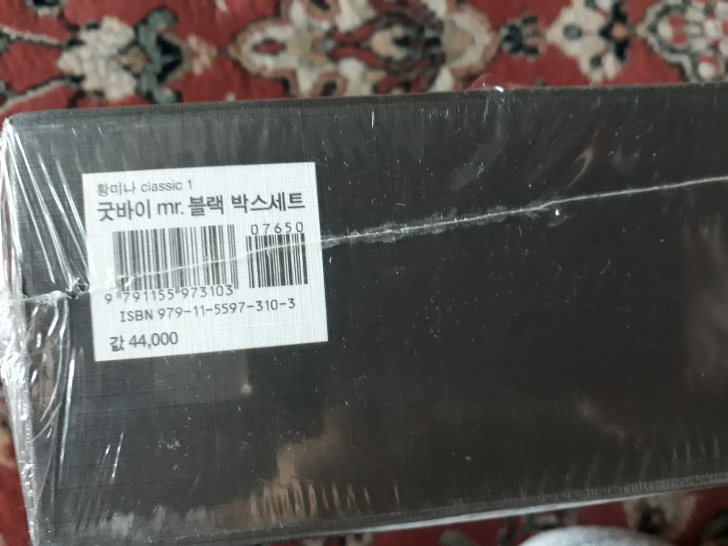 황미나 굿바이미스터블랙