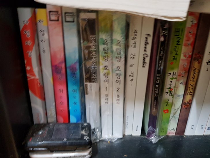 BL 중고소설 BL 중고소설