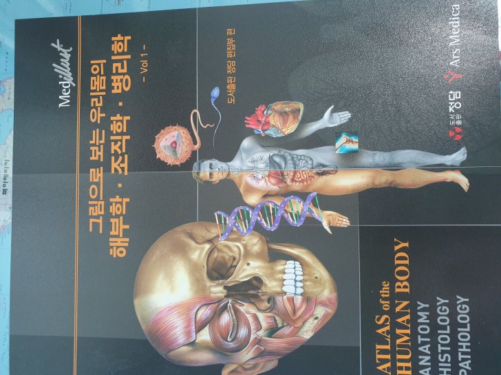 정담 해부학, 조직학, 병리학 정담 해부학, 조직학, 병리학