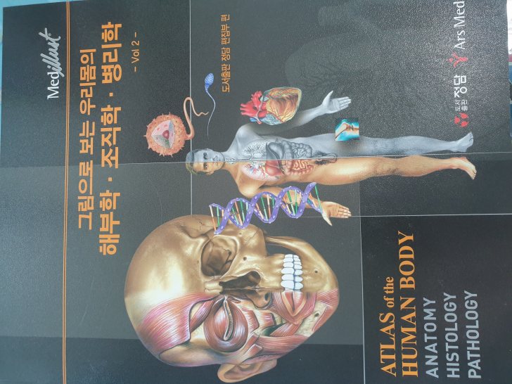정담 해부학, 조직학, 병리학 정담 해부학, 조직학, 병리학