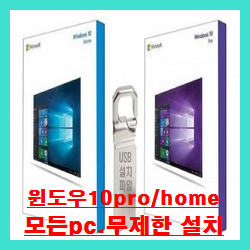 윈도우10 pro/home (4in1~6in1패키지상품) 설치usb^^ (2번 패키지) 윈도우10 pro/home (4in1~6in1패키지상품) 설치usb^^ (2번 패키지)