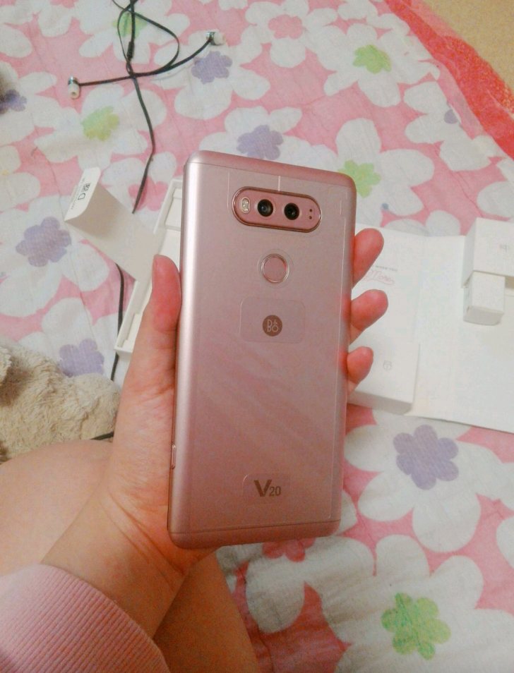 V20 V20