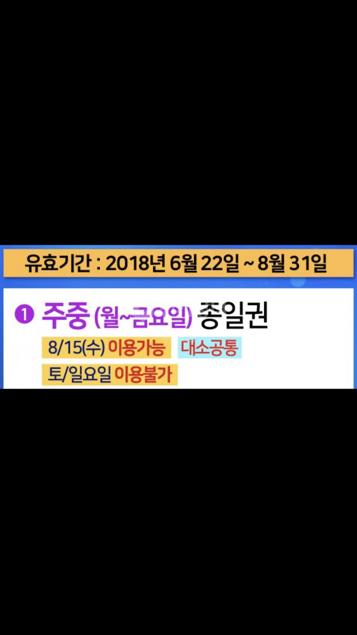 에버랜드 주중이용권 에버랜드 주중이용권