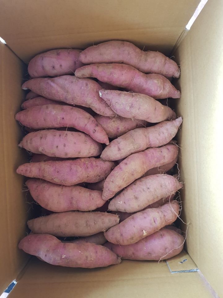 해나미고구마 3kg 해나미고구마 3kg