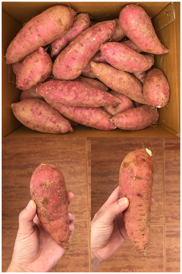 해나미고구마 3kg 해나미고구마 3kg