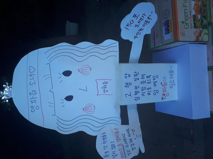 양파즙 150포 45000원 도매 양파즙 150포 45000원 도매